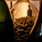Scheiblhofer winery, Austria