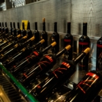 Tour at the Scheiblhofer winery