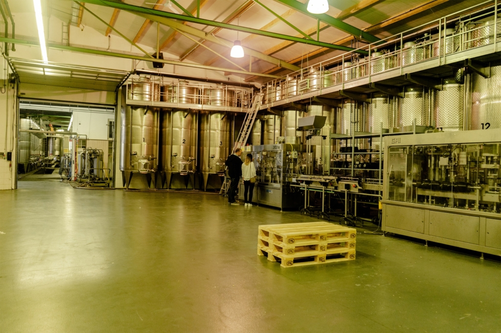 Tour at the Scheiblhofer winery