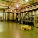 Tour at the Scheiblhofer winery